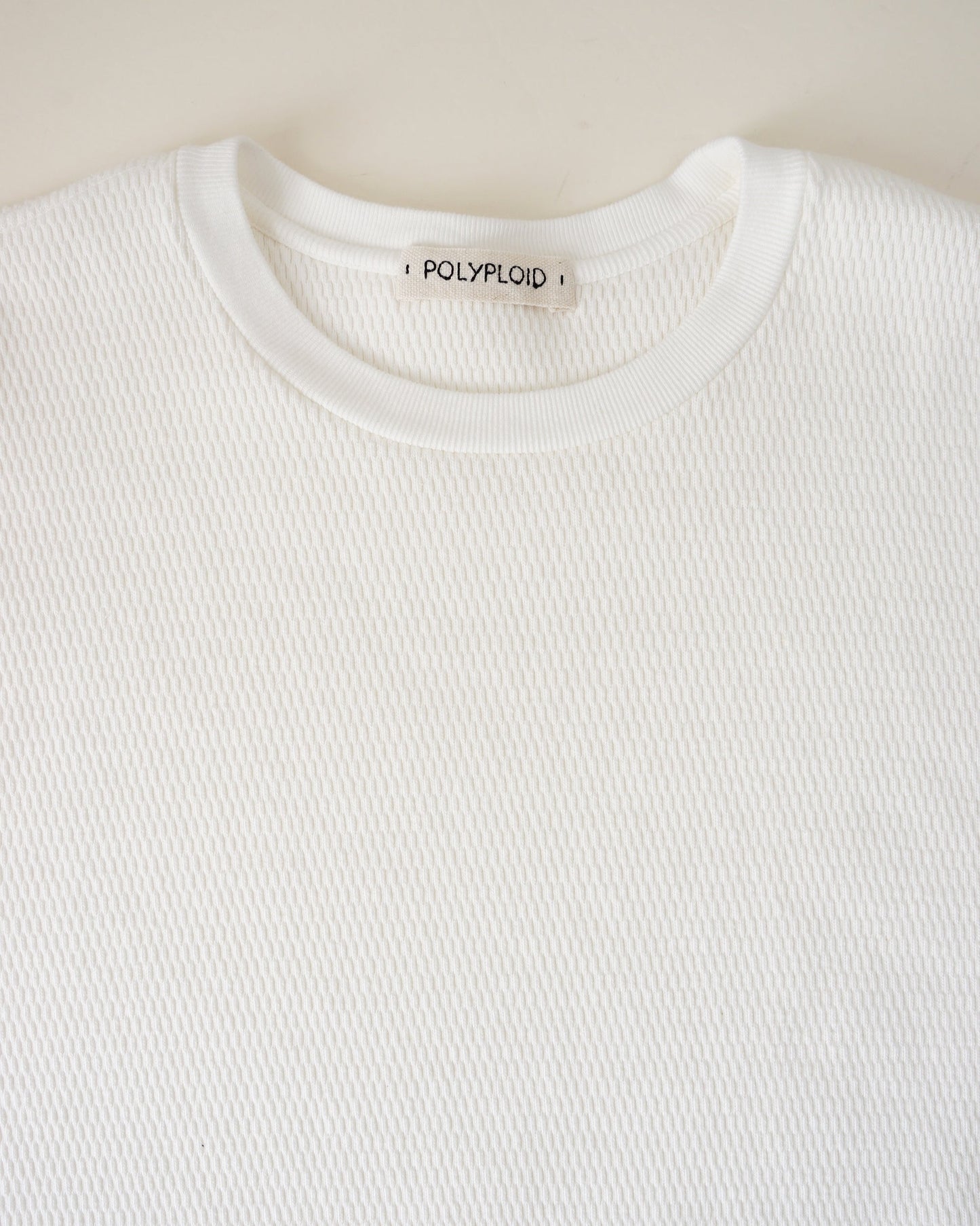 POLYPLOID OVERSIZE LONGSLEEVE "C"
