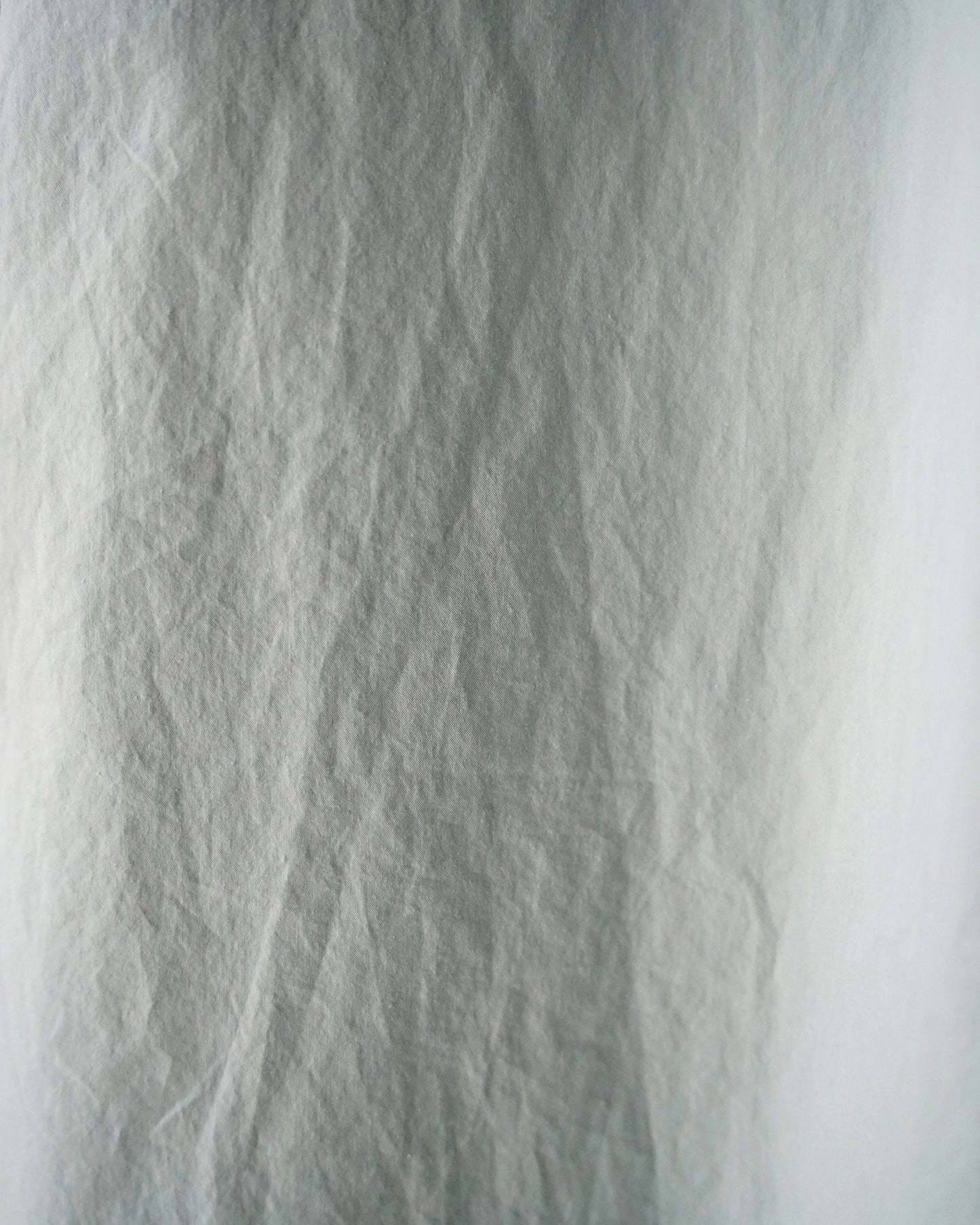 POLYPLOID CLASSIC POCKET SHIRT "C"