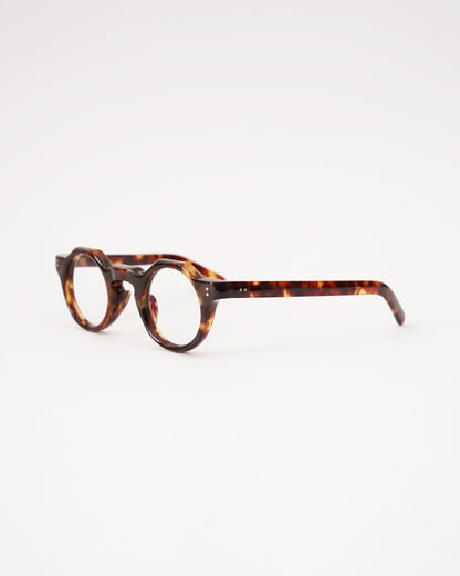 Yuki Iwasaki　kogarashi