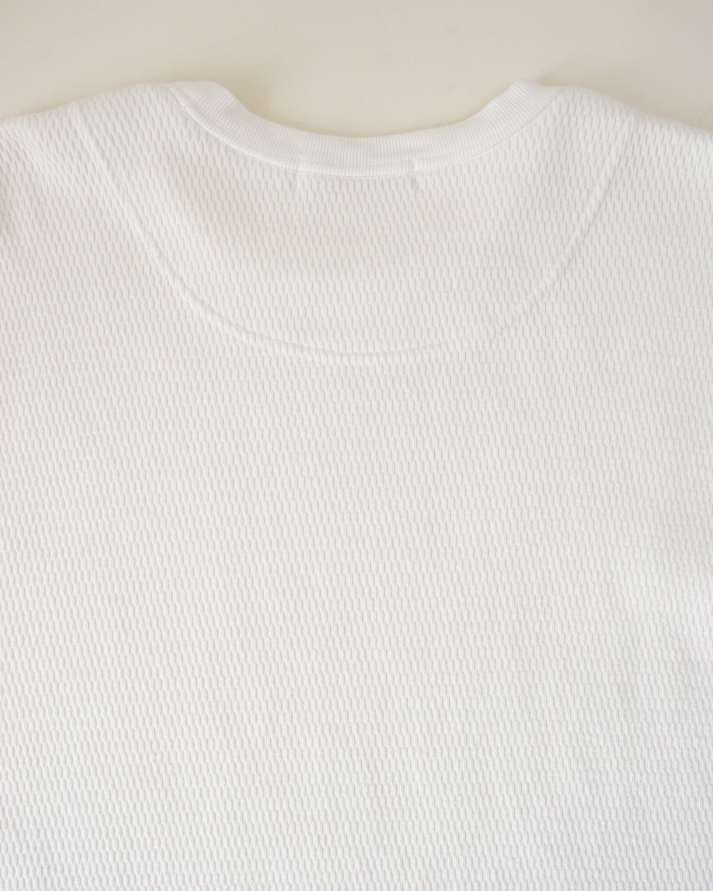 POLYPLOID　OVERSIZE LONGSLEEVE "C"